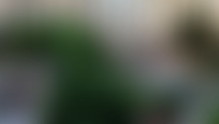 Valorisation thermique des eaux usées à la source - visite d'Eole Evangile avec Solaronics ECS