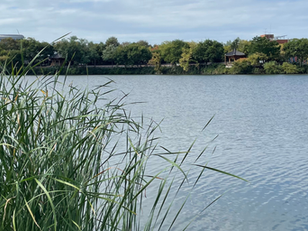 Webconférence : Maitriser le vieillissement des membranes en usine d'épuration |16 avril 2026
