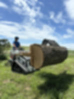 Land Clearing Job
