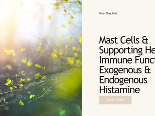 Mast Cells & Supporting Healthy Immune Function | Exogenous & Endogenous Histamine