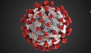 The ultrastructural morphology exhibited by coronaviruses.