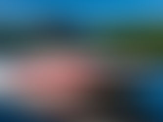 boat engine replacement