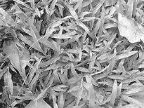 IMG_7113.jpeg