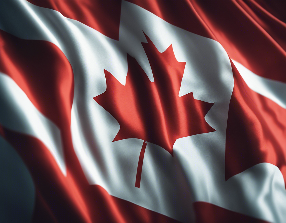 La Charte Canadienne Des Droits Et Libertés