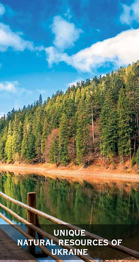 Staritsky & Levitsky