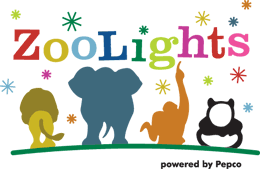 zoolights.gif