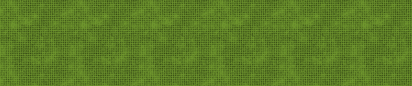 REVIEW BG.png