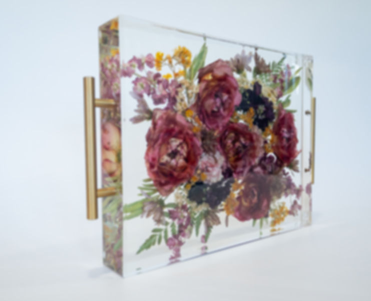 Clear Tray