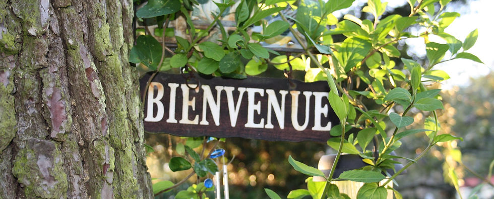Bienvenue_edited.jpg