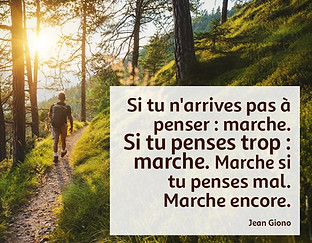 Citation marche.jpg