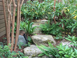 Madison Park Residence