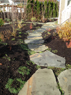 West North Street - Bellingham