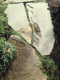 West North Street - Bellingham