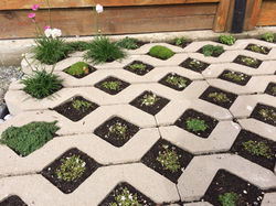 Laneway Drive - Vancouver