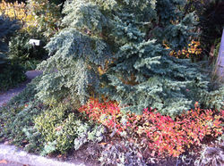 Phinney Ridge Residence