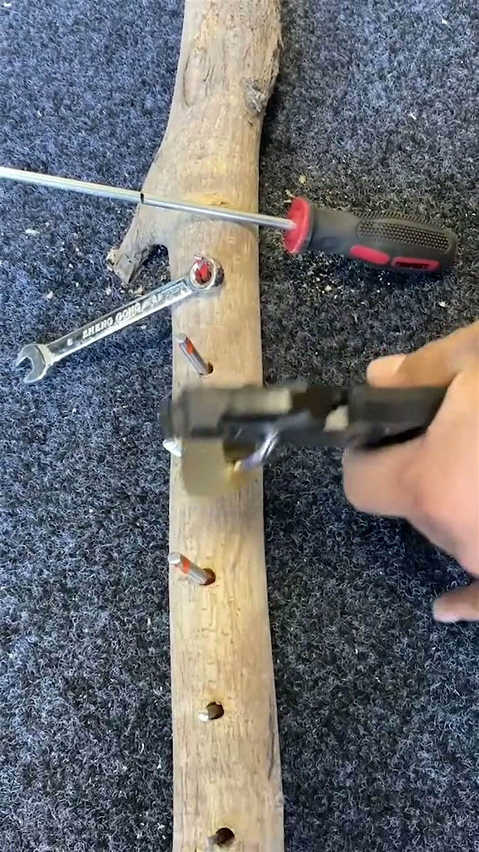 Miniatura: Alicate de Titânio