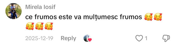 Comentariu pe TikTok: „ce frumos este va mulțumesc frumos”