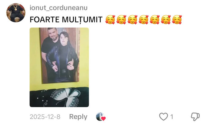 Comentariu pe TikTok: „FOARTE MULȚUMIT” (cu poza tabloului primit)