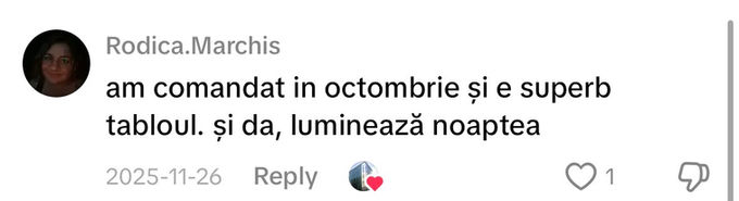 Comentariu pe TikTok: „am comandat in octombrie și e superb tabloul. și da, luminează noaptea”