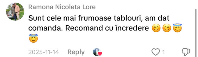 Comentariu pe TikTok: „Sunt cele mai frumoase tablouri, am dat comanda. Recomand cu încredere”