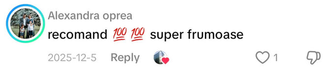 Comentariu pe TikTok: „recomand super frumoase”