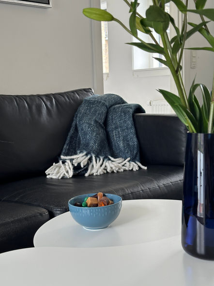 familieferie i aarhus i hotellejlighed med rabat på attraktioner