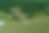 project1.jpg