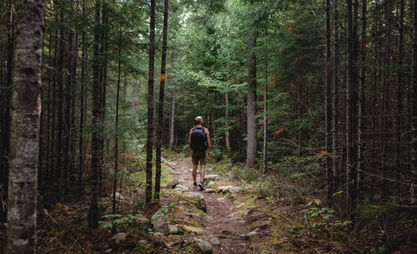 Les hautes gorges dans Charlevoix quebec men walking in Sepaq park