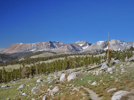 Den 56 - FORESTER PASS - 4,023m