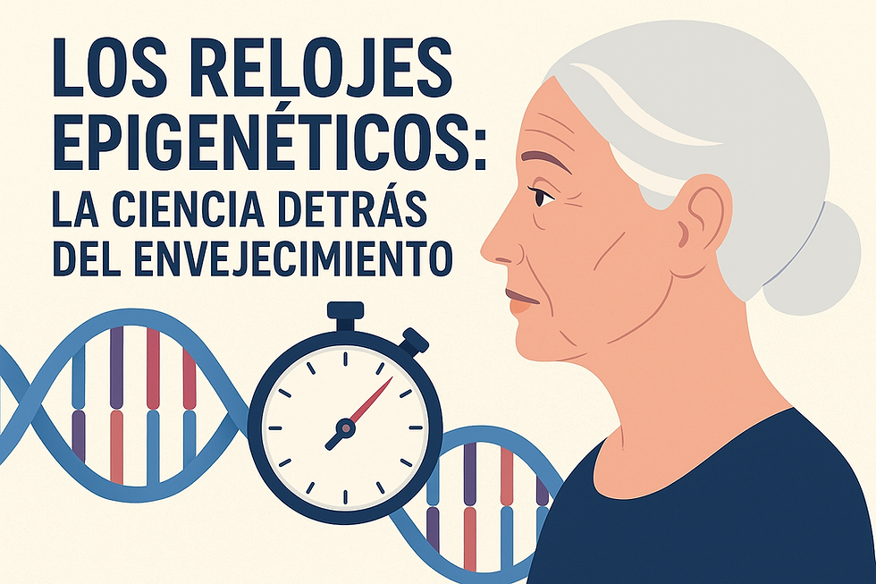 Ilustración sobre relojes epigenéticos con ADN, cronómetro y perfil de una mujer mayor, representando la ciencia de la edad biológica y el envejecimiento