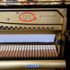 Yamaha-U1-upright-01.jpeg.jpg