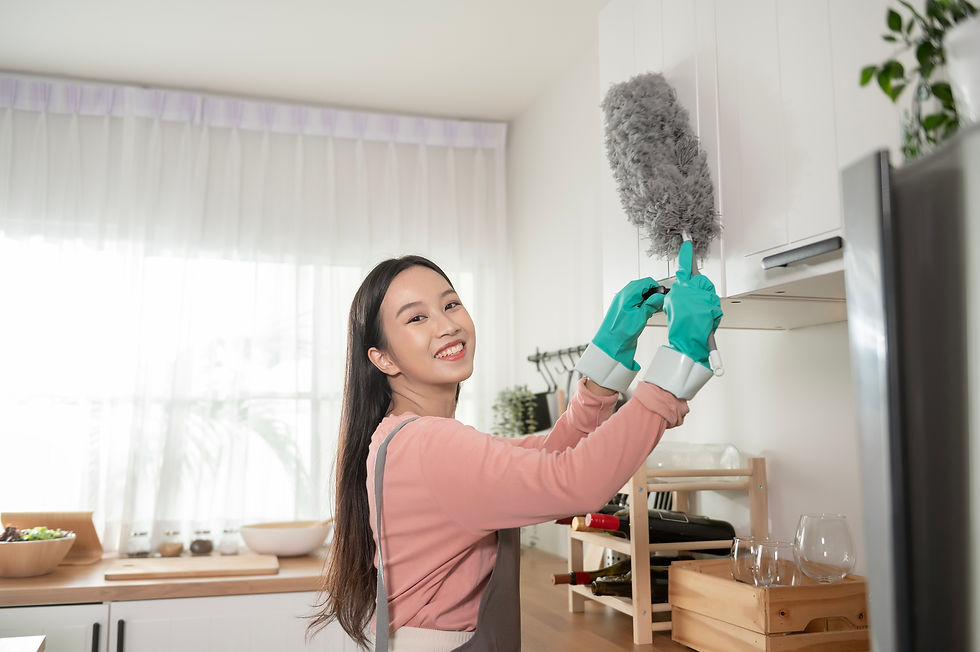 asian-young-woman-sweeping-sofa-and-furniture-2024-12-22-23-18-30-utc.jpg