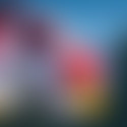 Ending Violence Against Women is Everyone’s Responsibility