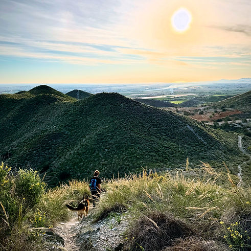 finca astronomica landscape5.jpeg