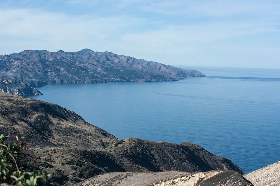 Santa Cruz Island