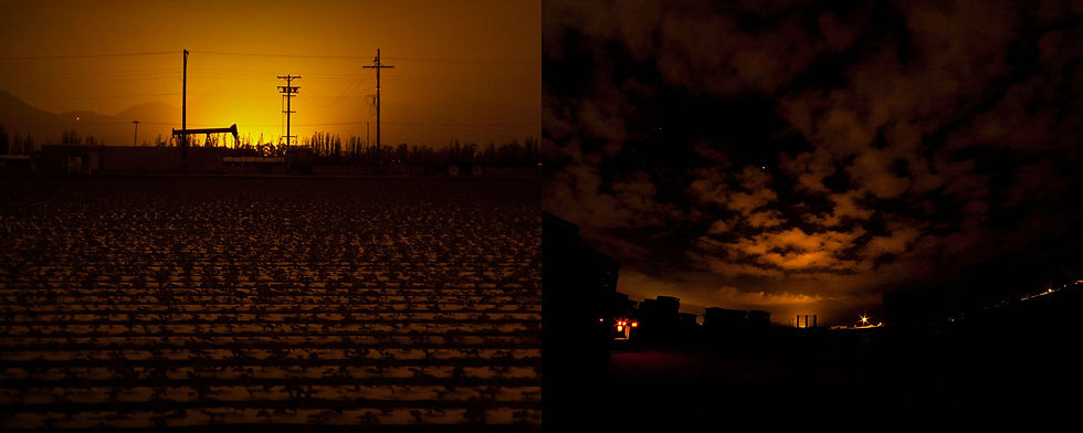 Oxnard Farm 2