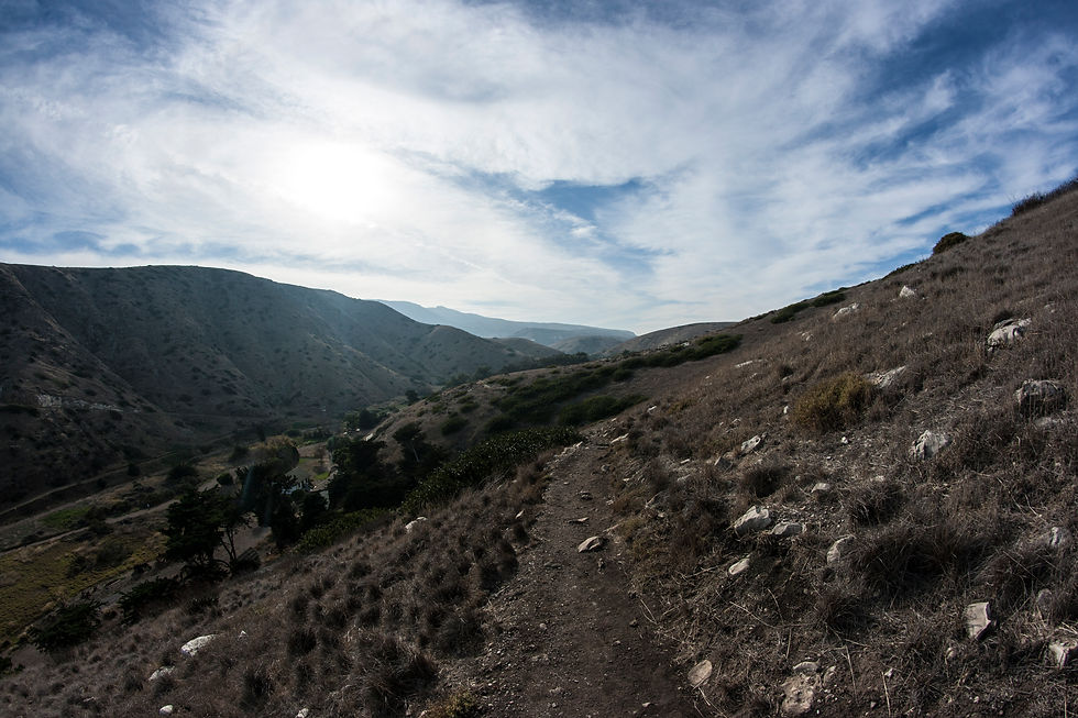 Santa Cruz Island