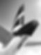 Airbus A320 tail AdobeStock_763988506_Editorial_Use_Only_edited.jpg