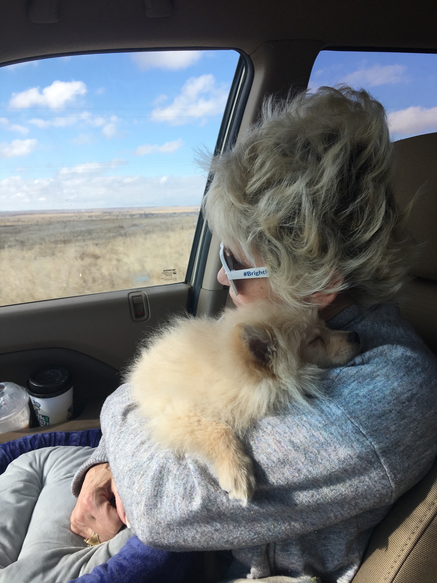 RamBojangles Moses Pooh - March 2019