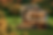 KKA Landing Page - 02.jpg.png