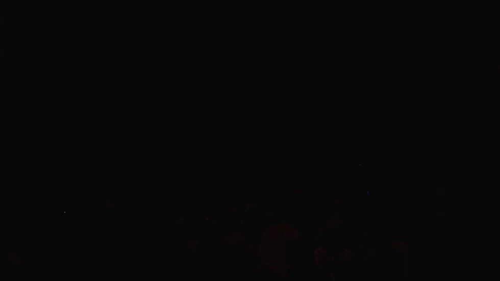 OURSONGS#4 どんぐりず　(2021/11/23)