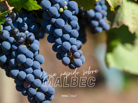 GUIA FÁCIL E RÁPIDO SOBRE MALBEC