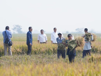 Evaluasi Sepuluh Tahun Terakhir Pertanian Indonesia : Minim Pemanfaatan Teknologi!