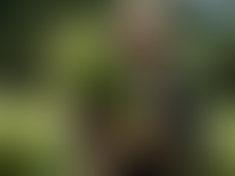 Harga Beras Meningkat 16%, Petani Indonesia Raih Keuntungan Maksimal