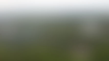 Kalimantan Tengah Diam-Diam Jadi Contoh Desa Masa Depan Indonesia
