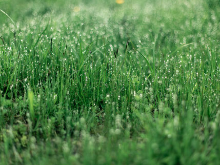 Indonesia Memasuki Musim Pancaroba, BMKG Mengungkap Tandanya