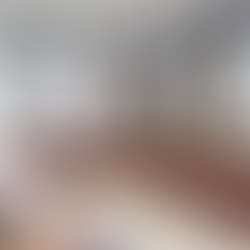 DPRD dan Pemprov Kalteng Sinkronkan Raperda Investasi Demi Kepastian Hukum dan Layanan Lebih Efektif