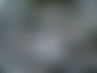 Pantai Jepang Dipenuhi Jutaan Ikan Sarden !!