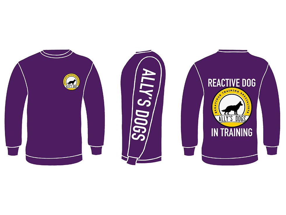Thumbnail: Purple Ally's Dogs sweatshirt with yellow logo, sleeve text, and “REACTIVE DOG IN TRAINING” on back.