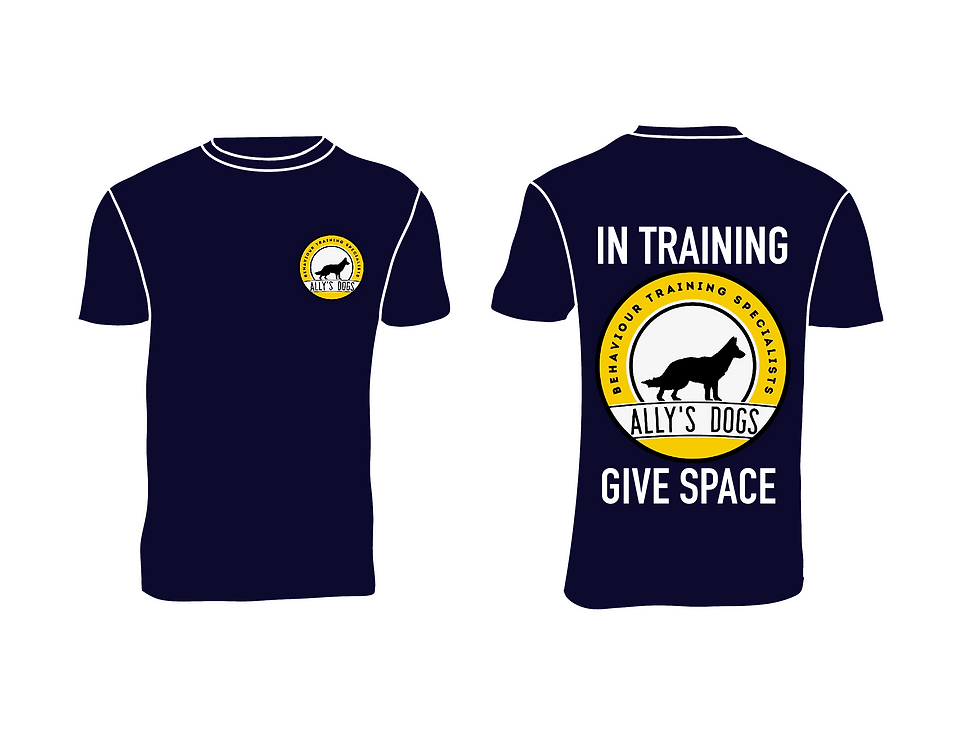 Thumbnail: navy Ally's Dogs t-shirt with yellow logo, sleeve text, and “IN TRAINING – GIVE SPACE” on back.